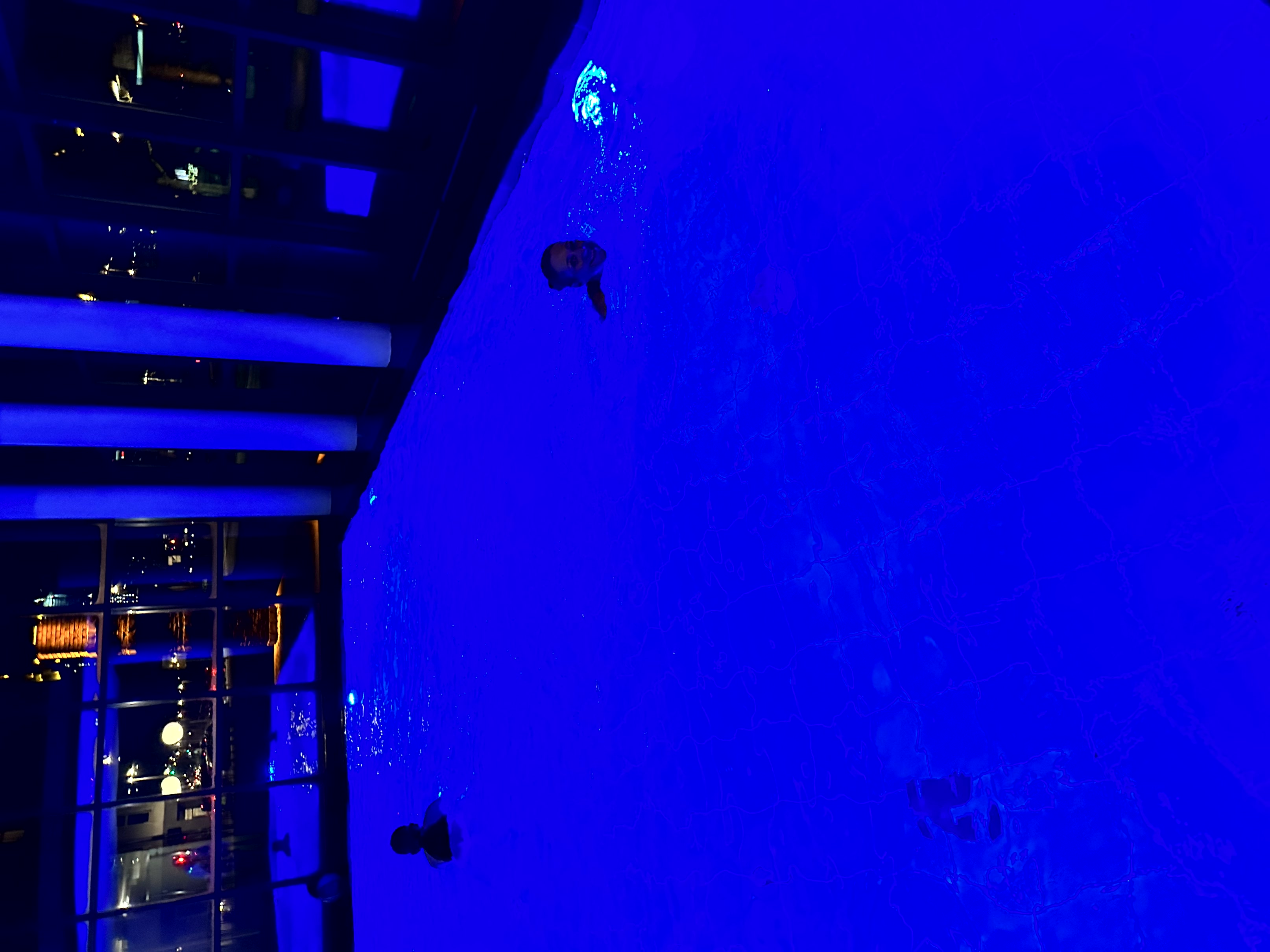 Pool, Drink und Abendessen in Frankfurt