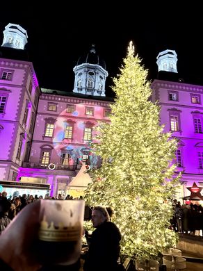Weihnachtsstimmung vor dem Schloss