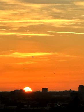 Skyline und Sonnenuntergang über dem Main