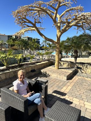 Morgen im Resort und Frühstück