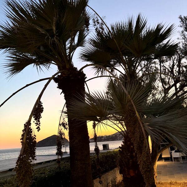 Zurück am Maronti Beach