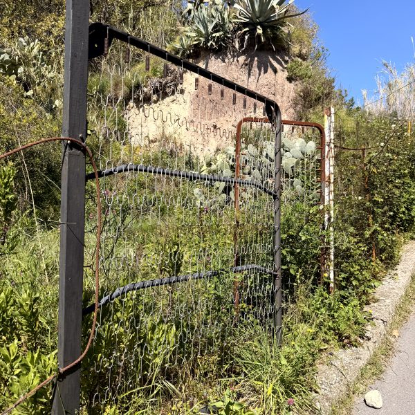 Küstenweg Richtung Sant’Angelo