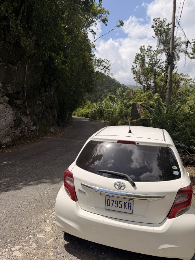 Durch die Blue Mountains und zwei Kaffeeplantagen