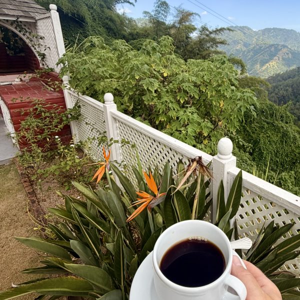 Durch die Blue Mountains und zwei Kaffeeplantagen