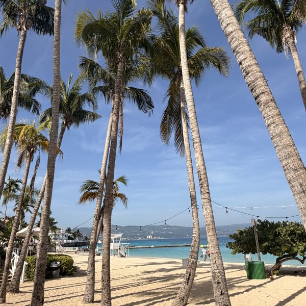 Schwimmen vor der Weiterfahrt nach Negril