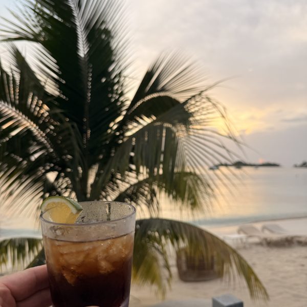 2. Tag Erster Urlaubstag – Tauchen, Regen und Teppanyaki