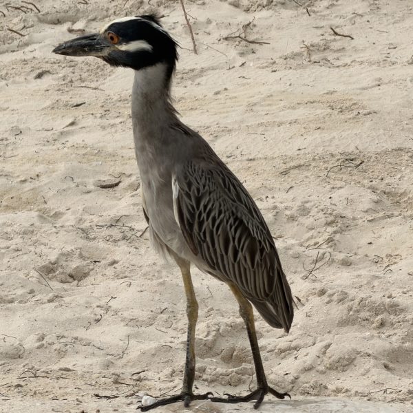 8. Tag - Unser letzter vollständiger Tag im Sandals