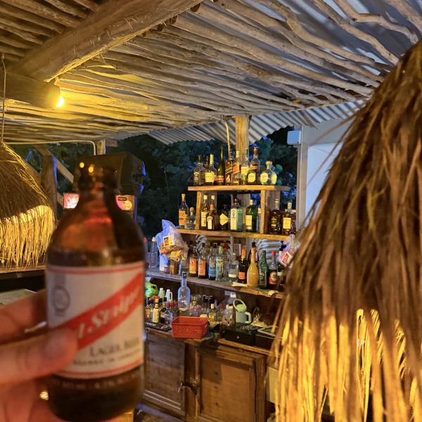 Ein lebhafter Empfang und ein unerwartet guter Abend