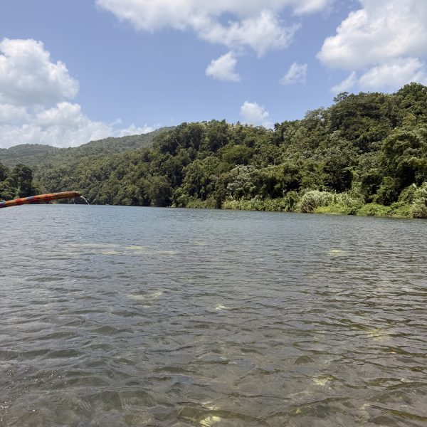 Bamboo Rafting auf dem Rio Grande