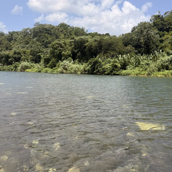 Bamboo Rafting auf dem Rio Grande