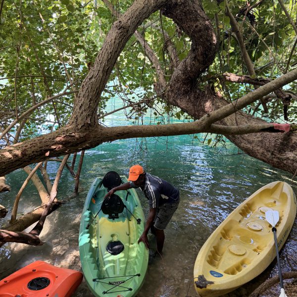 Blue Lagoon, Monkey Island und ein spontaner Kajakausflug