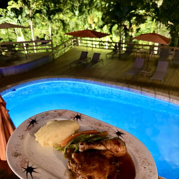 Eine Nacht mit Dschungelblick im LF Jungle Retreat