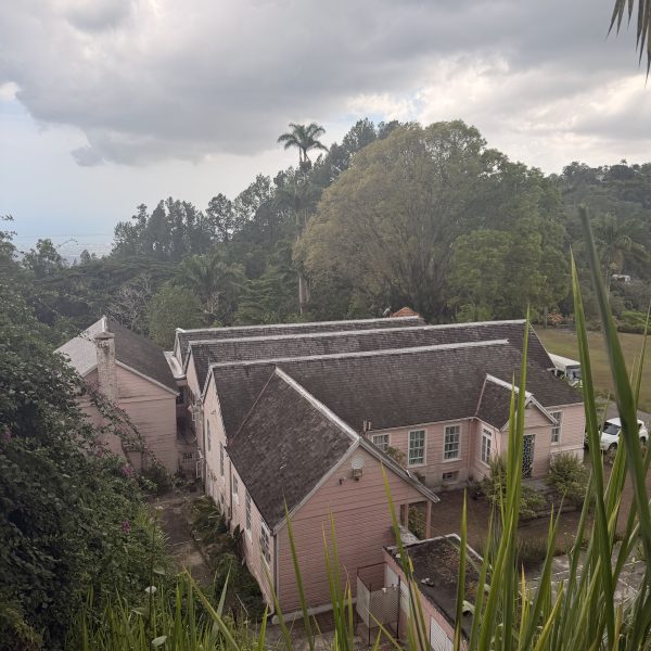 Durch die Blue Mountains und zwei Kaffeeplantagen