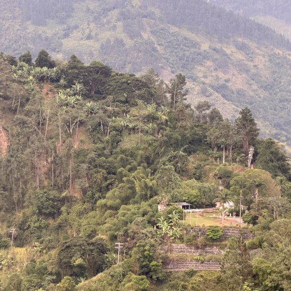 Strawberry Hill Hotel - Blue Mountains
