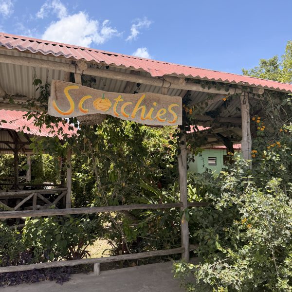 Blue Mountains - Scotchies - Jamaika Inn