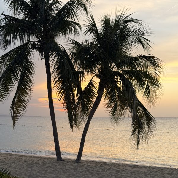 Unser erster Abend im Jamaica Inn