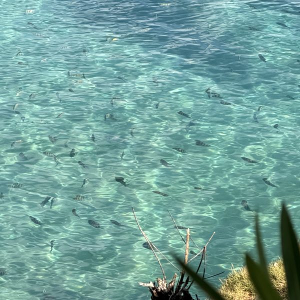 Frühstück direkt über dem Meer