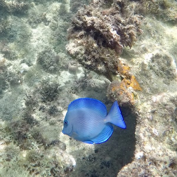 Ein kompletter Strandtag im Jamaica Inn