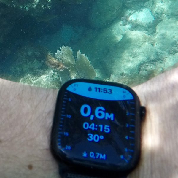Ein kompletter Strandtag im Jamaica Inn