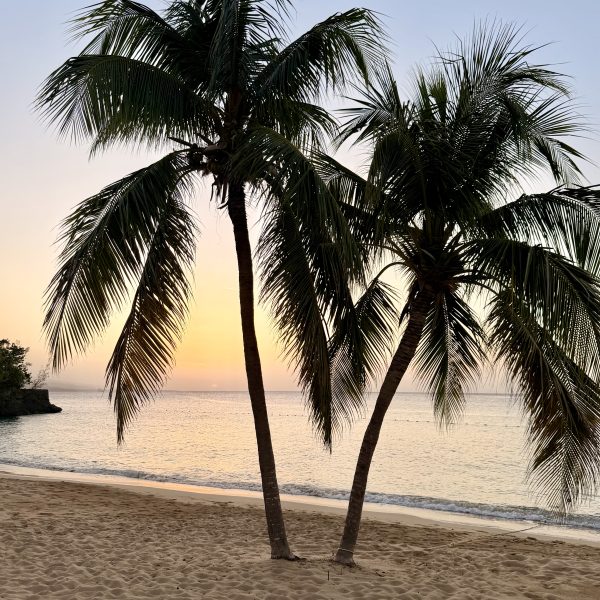 Ein kompletter Strandtag im Jamaica Inn