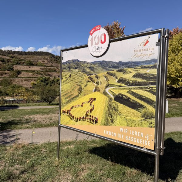Wanderung zu Salwey und Gleichenstein