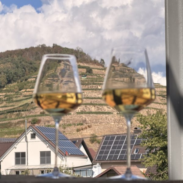 Wanderung zu Salwey und Gleichenstein