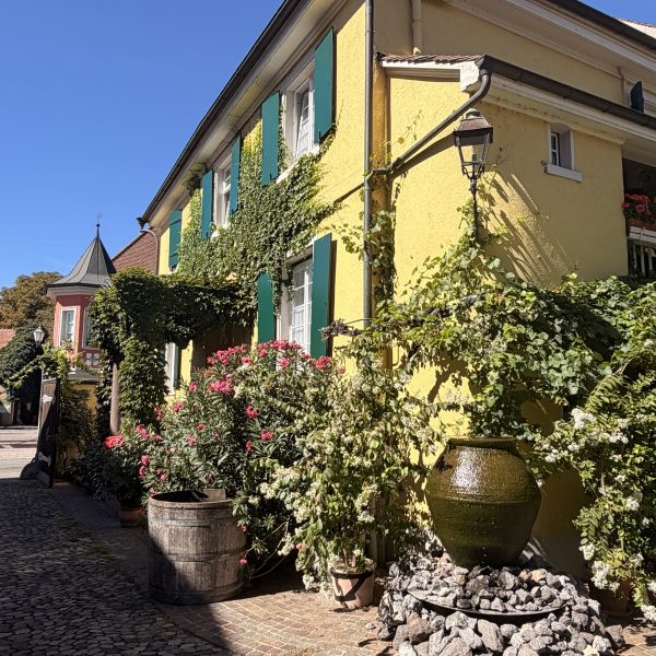 Weingut Stiegler