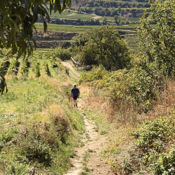 Wanderung zurück