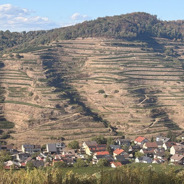 Wanderung zurück