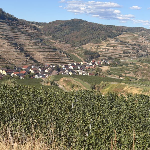 Wanderung zurück