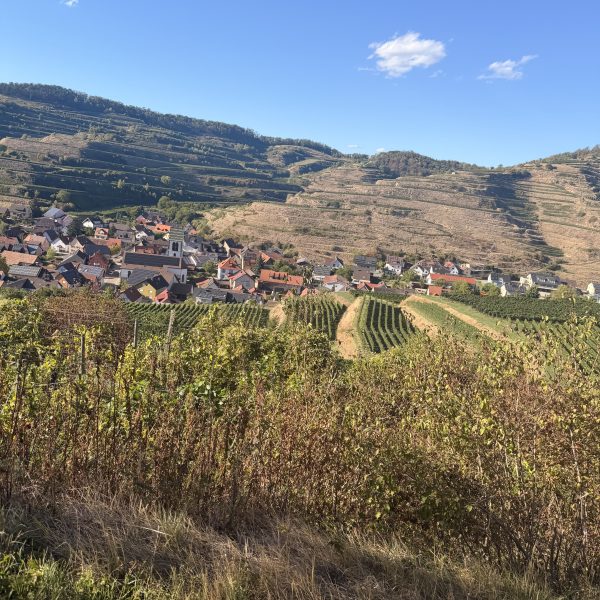 Wanderung zurück