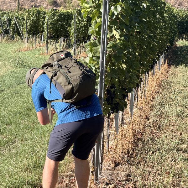 Wanderung zurück