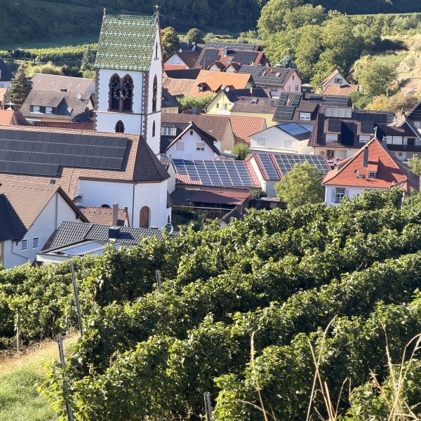 Wanderung zurück
