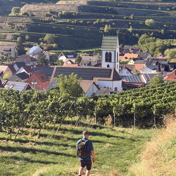 Wanderung zurück