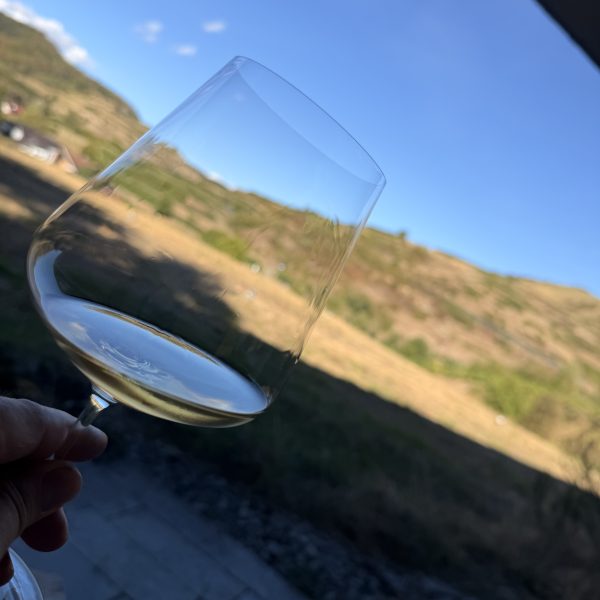 Tasting bei Franz Keller