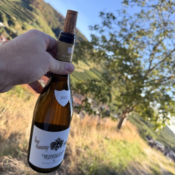 Tasting bei Franz Keller