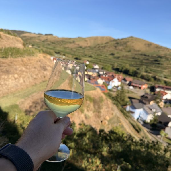 Tasting bei Franz Keller