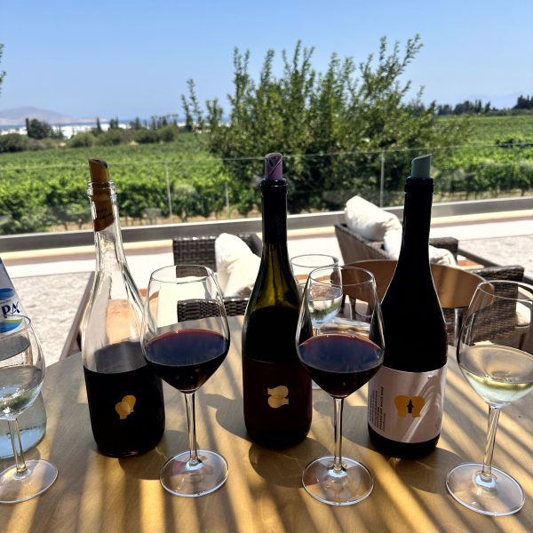 Salzsee, Wein und Mittagspause