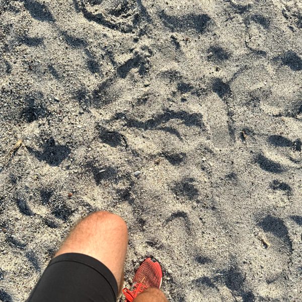 Ruhiger Urlaubstag im Blue Lagoon Village