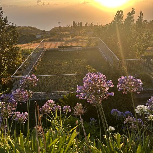 Erster Madeira-Abend – Bier, Espetada und Sonnenuntergang