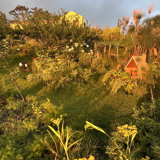 Erster Madeira-Abend – Bier, Espetada und Sonnenuntergang