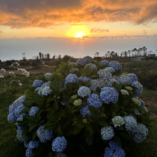 Erster Madeira-Abend – Bier, Espetada und Sonnenuntergang