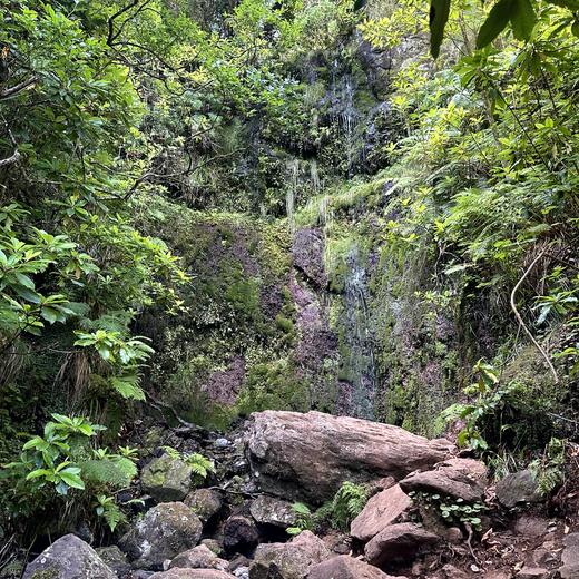 Rabaçal, Risco und 25 Fontes – Levada, Wasserfälle und Lorbeerwald