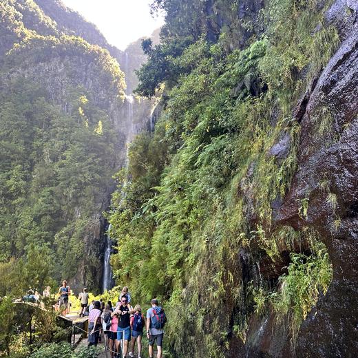 Rabaçal, Risco und 25 Fontes – Levada, Wasserfälle und Lorbeerwald
