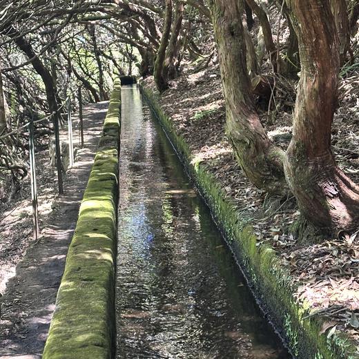 Rabaçal, Risco und 25 Fontes – Levada, Wasserfälle und Lorbeerwald
