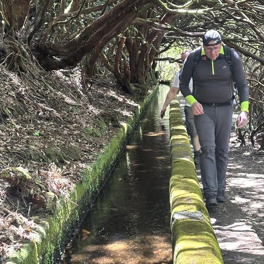 Rabaçal, Risco und 25 Fontes – Levada, Wasserfälle und Lorbeerwald