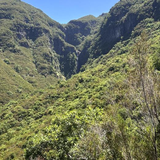 Rabaçal, Risco und 25 Fontes – Levada, Wasserfälle und Lorbeerwald
