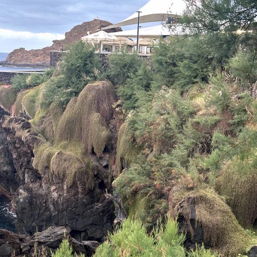 Abendstimmung in Porto Moniz – Promenade, Licht und Hotelblick