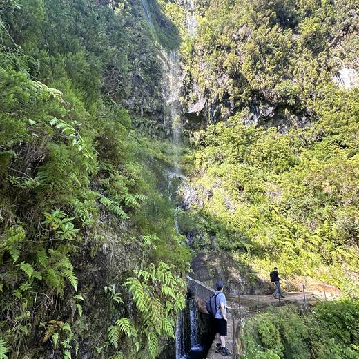 Levada da Norte bei Prazeres – Tunnel, Wasserfall und Wald