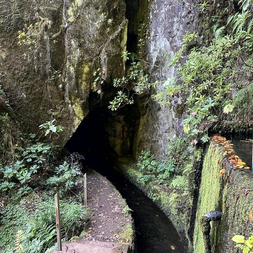Levada da Norte bei Prazeres – Tunnel, Wasserfall und Wald
